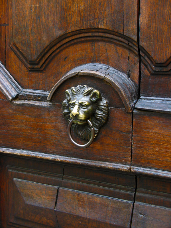 Lion with a Ring3214.jpg