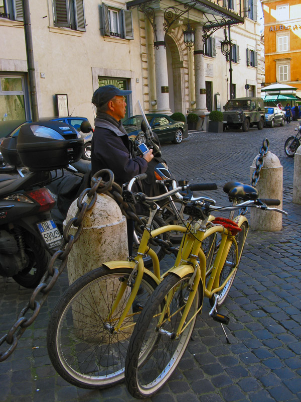 Robin and Yellow Bicycles4028