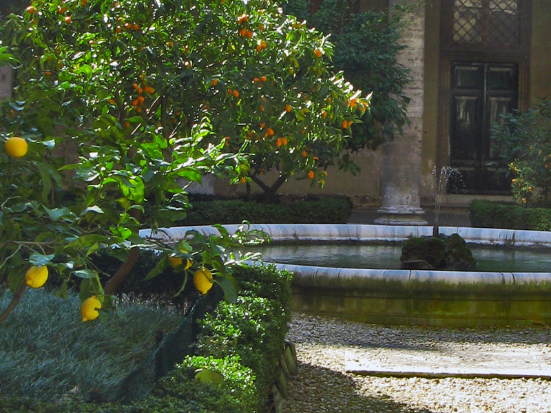 Fountain with Citrus Trees4074