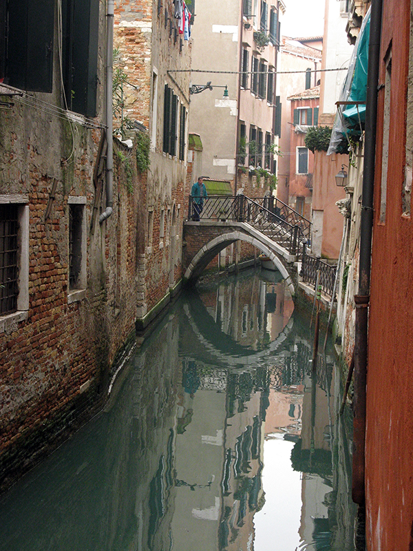 Bridge in Castello  0361