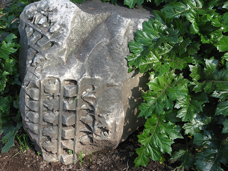 Acanthus leaves and old Stone 0698