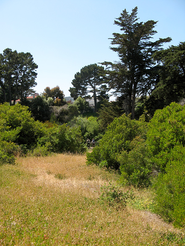 Urban hikers on Lobos Creek 1547