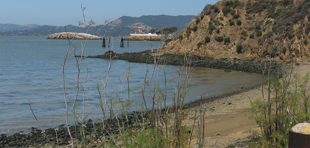 The Beach at Pt Molate  <br />1903-4