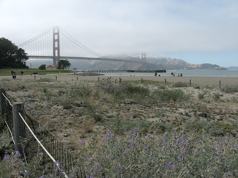 The Golden Gate Bridge from Crissy Field  1925