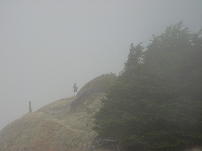 In the mist2236.jpg