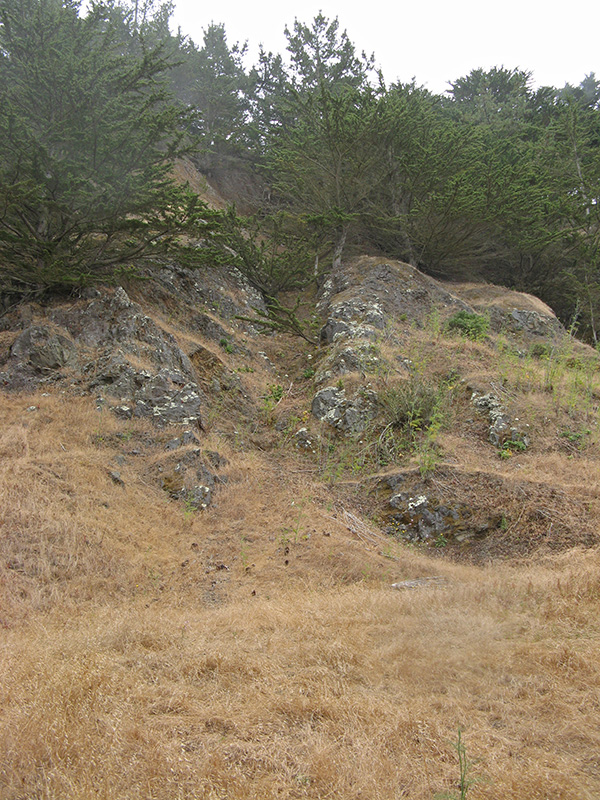Inland side of the trail 2238.jpg