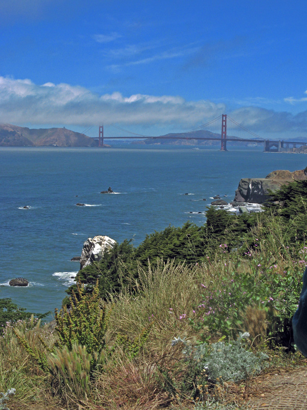 Golden Gate and fog 2530