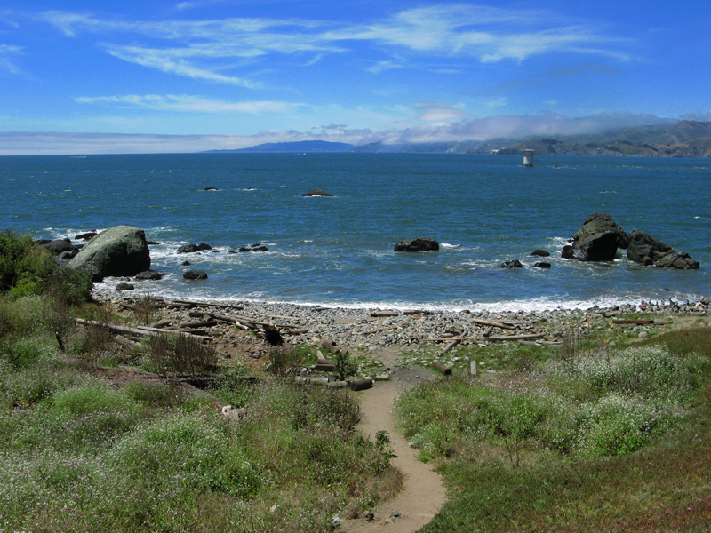 Beach with driftwood and boulders2592