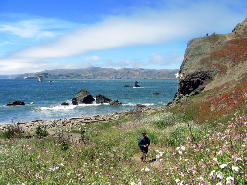 Beautiful beach scene2599