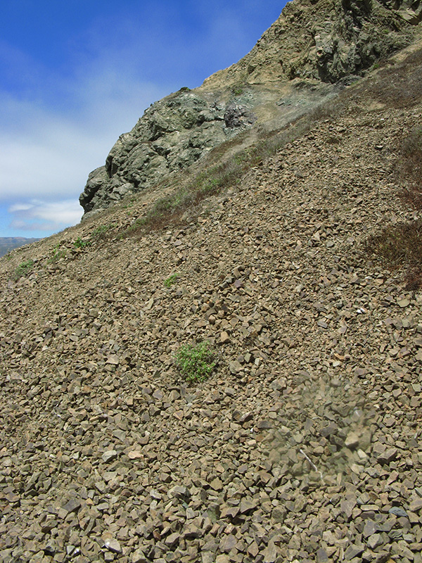 Crumbling rocks2603.jpg