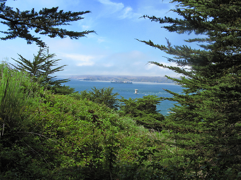 Another view through the cypresses2620
