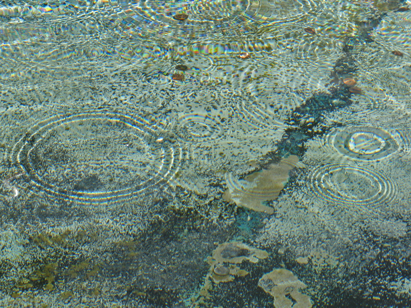 Blue reflections 3206