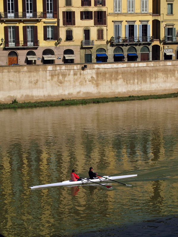 Rowing on the Arno5571