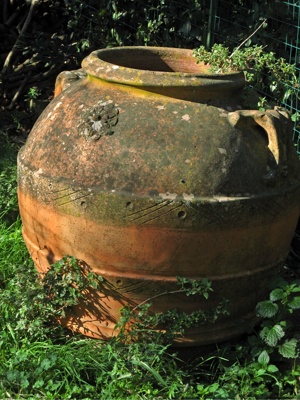 Old terracotta jar5832