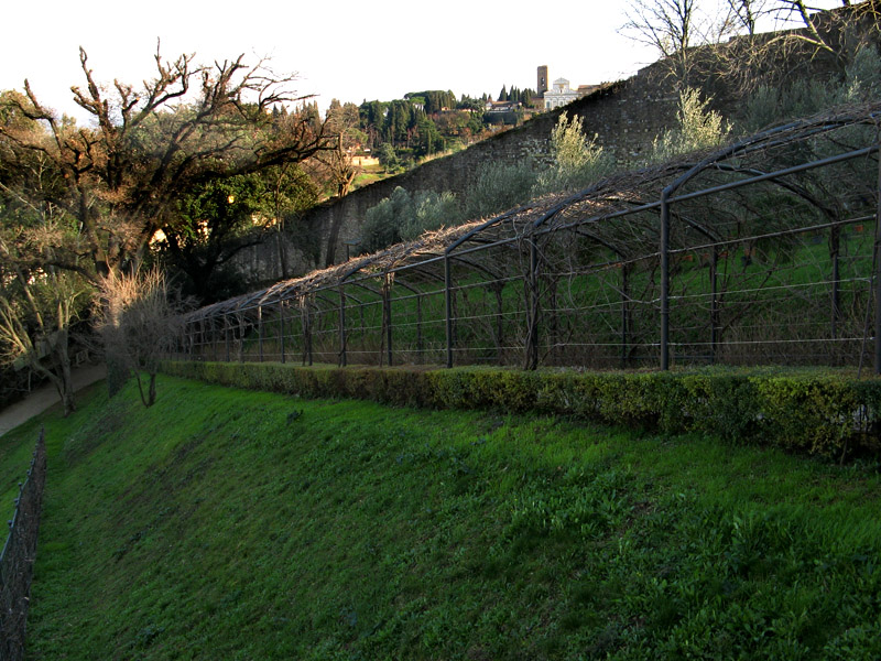 Bardini Gardens,  view of San Miniato5924