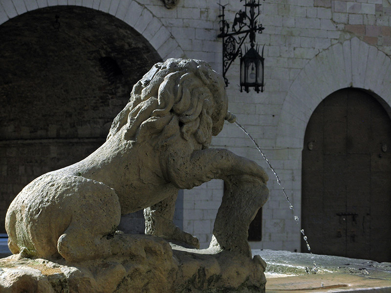 Lion fountain, detail 6264