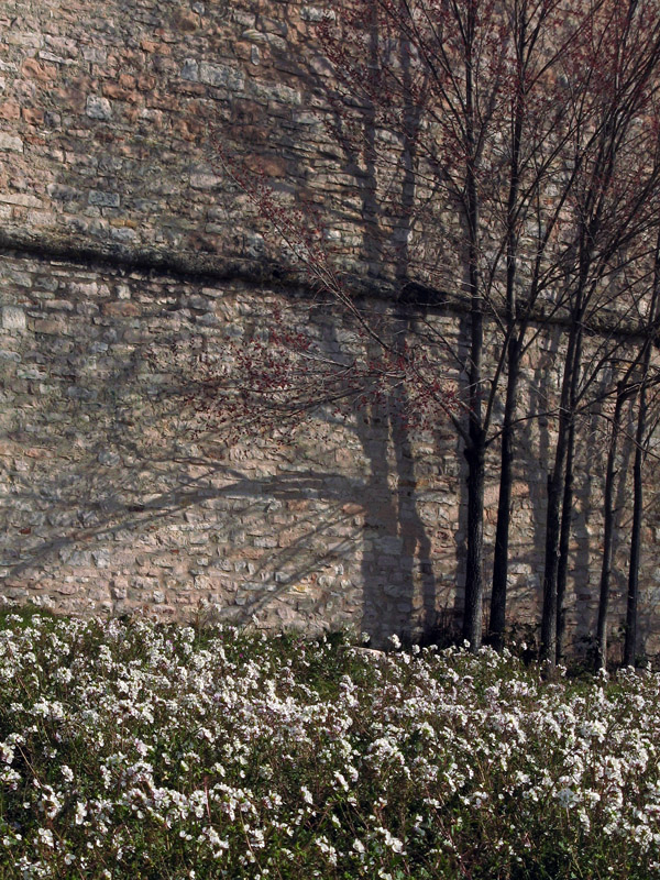Rocca Maggiore walls 6399