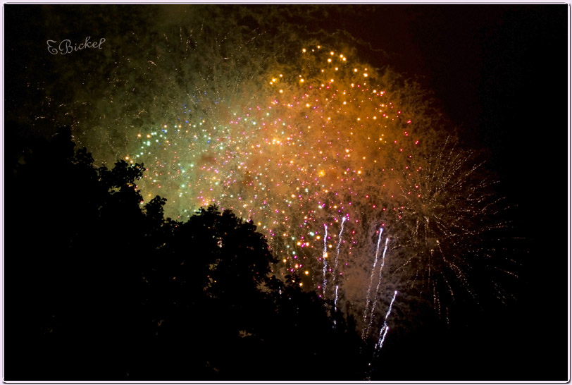 Fireworks in Rain 2010