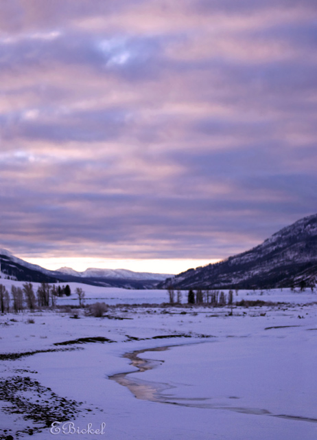 Sunrise 2008