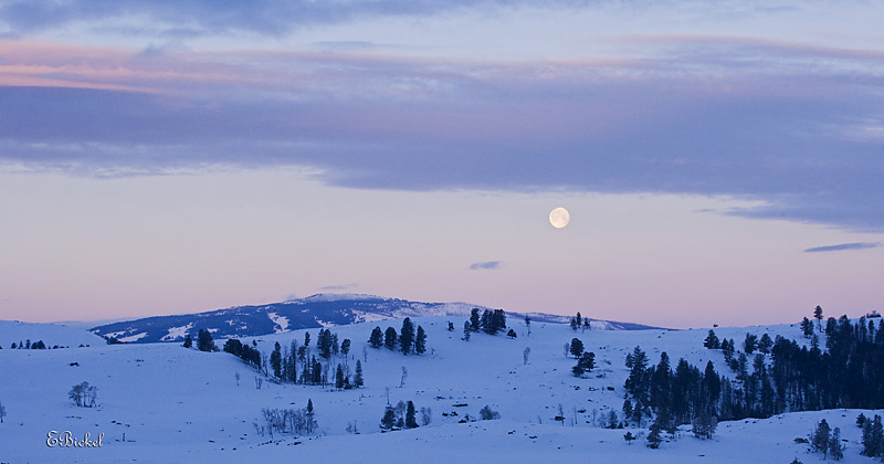 Moonset Meets Sunrise 2008