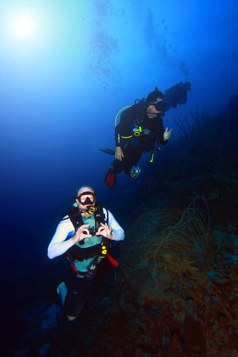 Ron And Louie On The Reef