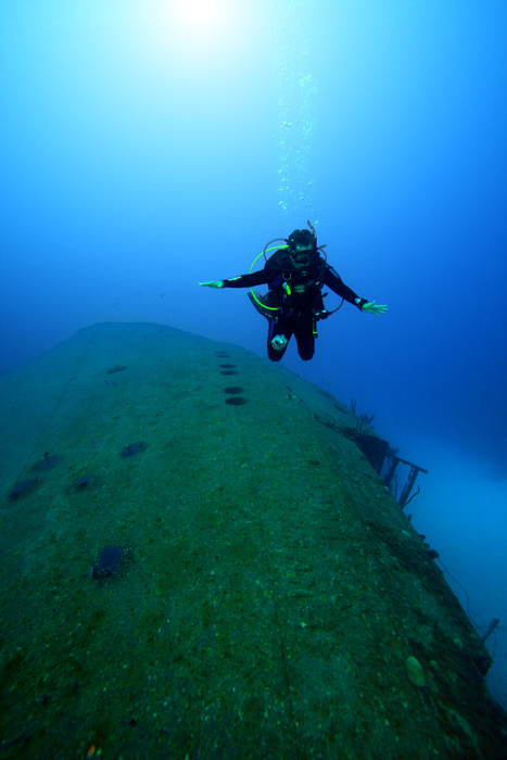 Louie Descends At The Hilma