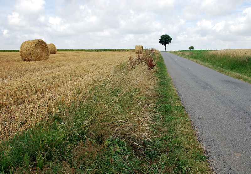 Small road in the Somme