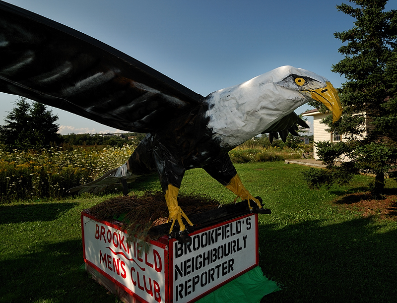 This is one scary eagle