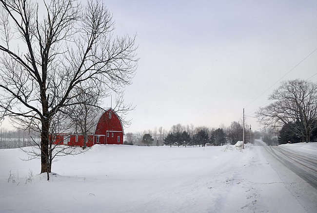 The red barn