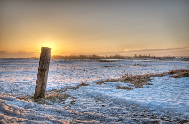 In the morning light...