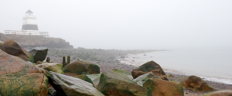 Sentinel in fog