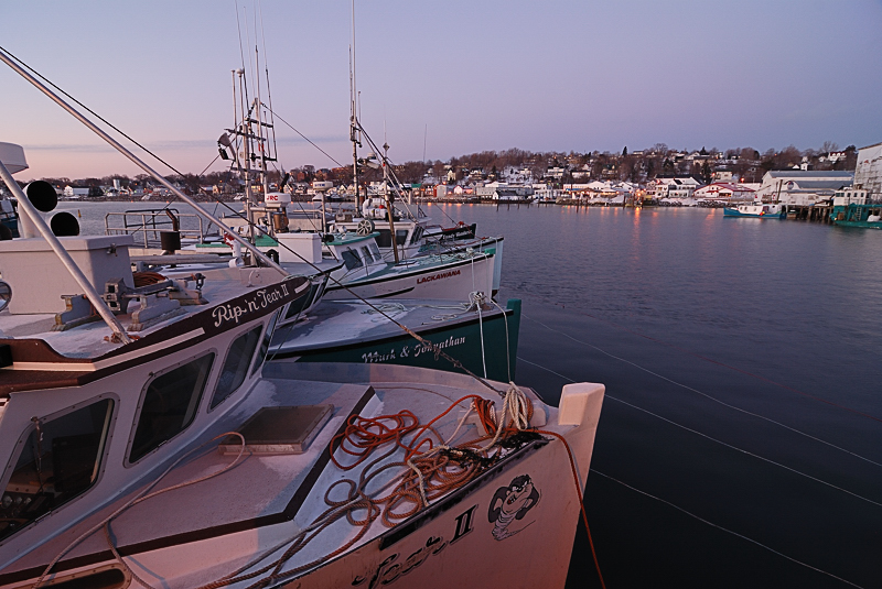 Digby morning