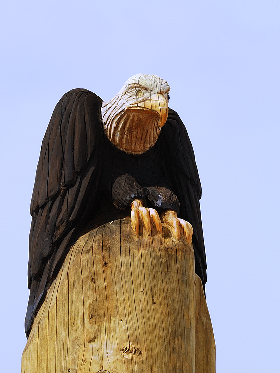 Wooden Eagle