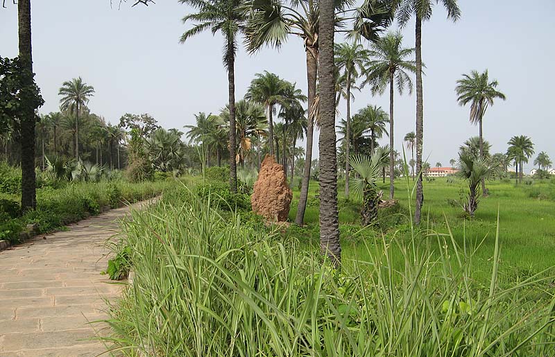 Kotu Cycle Track 