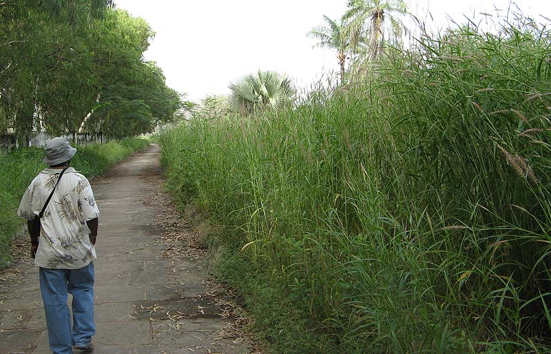 Kotu Cycle Track 