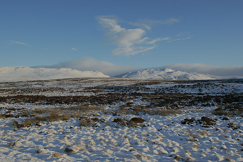 Snow on a heather moor