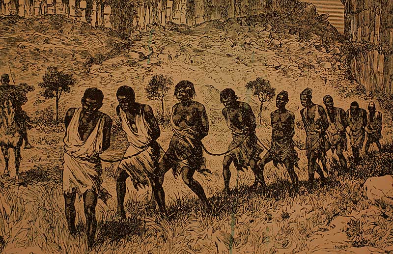 Captured Slave gang