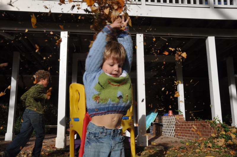 DSC_0287_800x531.JPG