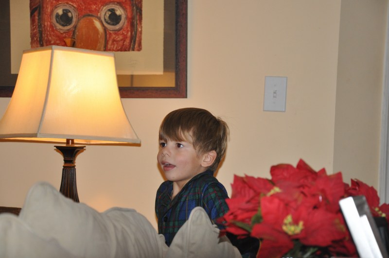DSC_0813_800x531.JPG