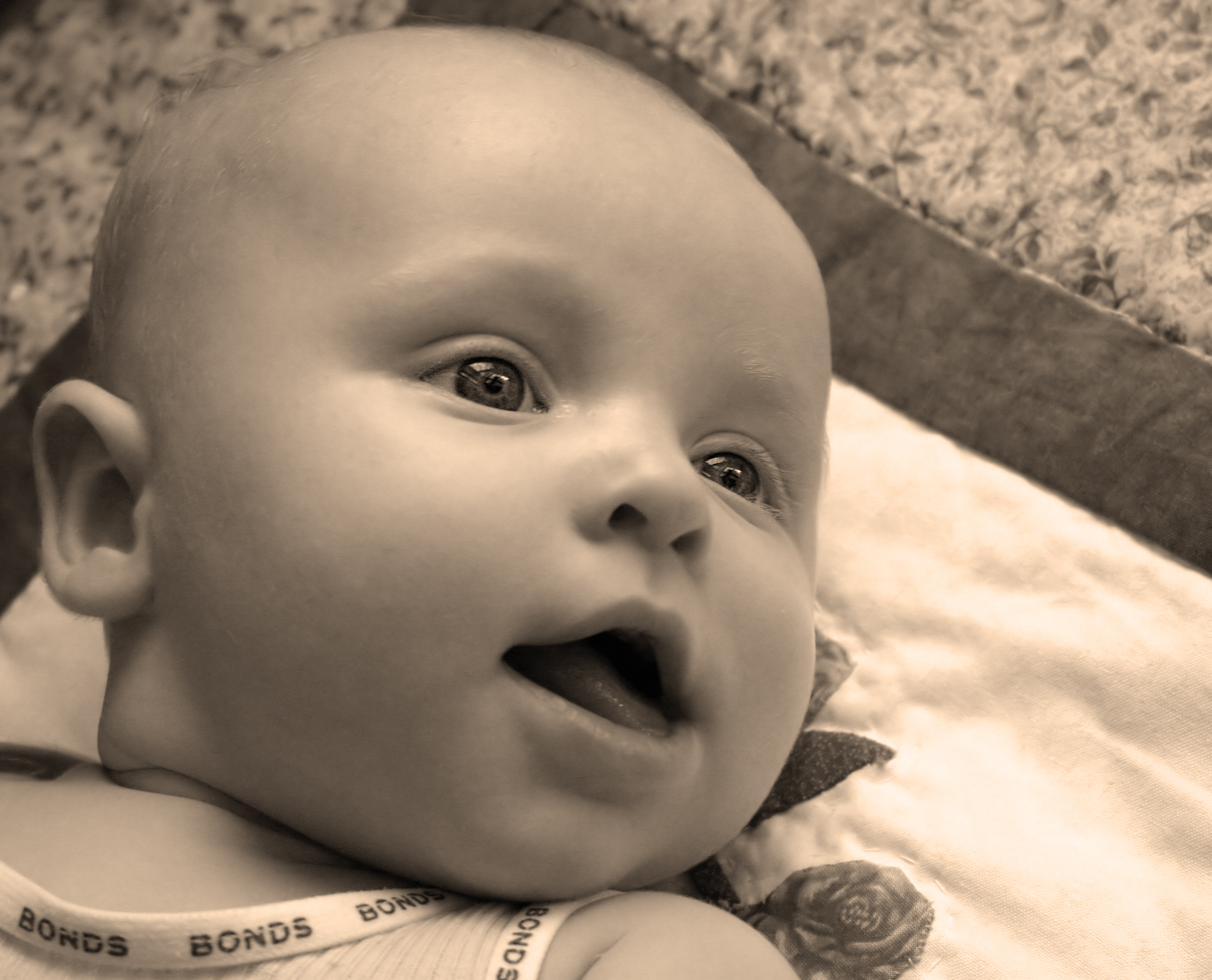 IMG_8356-v2-sepia.jpg