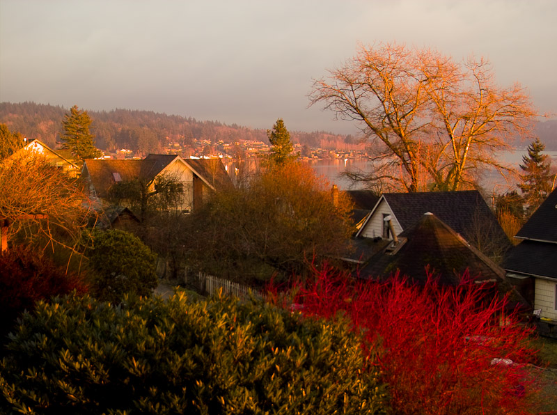 Late afternoon view