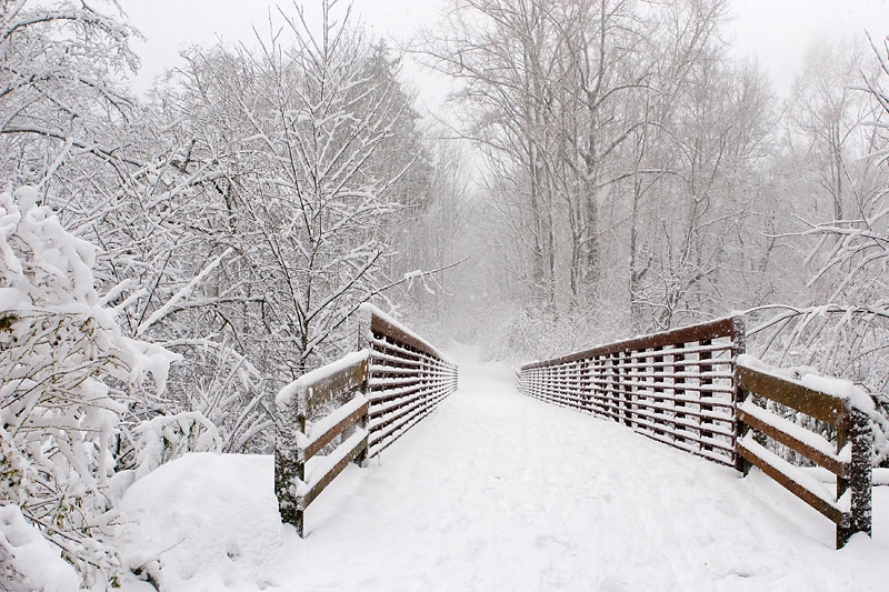 Snowy Bridge<br>5th Place<br>STF Challenge 155<br>Exhibition