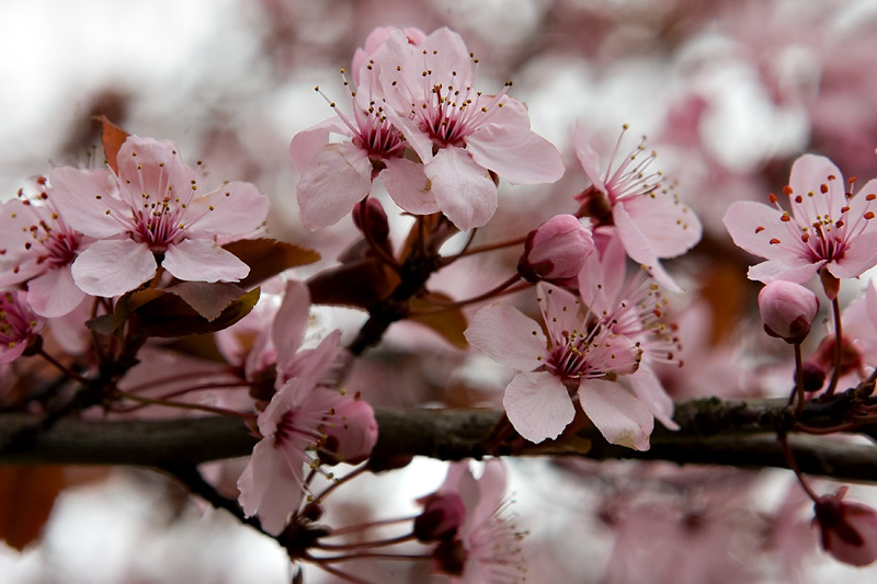 Signs of Spring at last