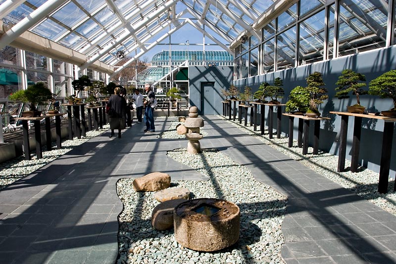 Bonsai Garden at the Brooklyn Botanical Garden