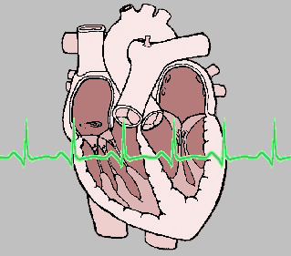 cardiacQT.GIF