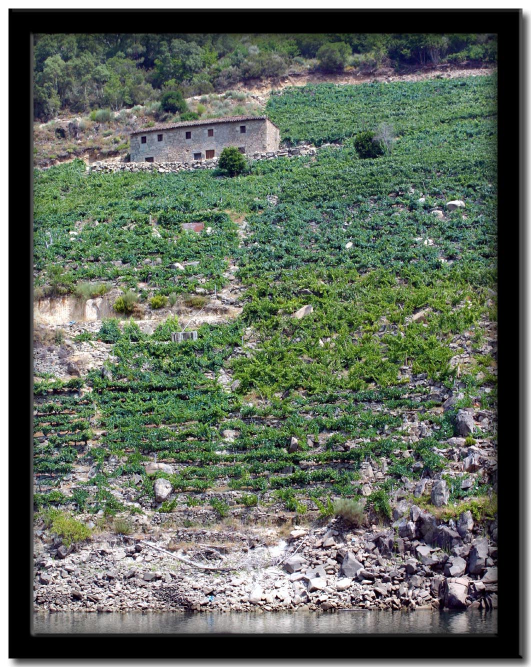 Caones del Sil. Ribeira Sacra