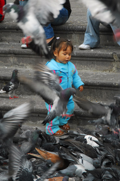Girl chasing pigeons, Plaza San Francisco