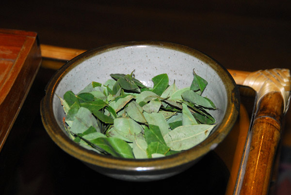 Coca leaves used to make Mate de Coca (tea)