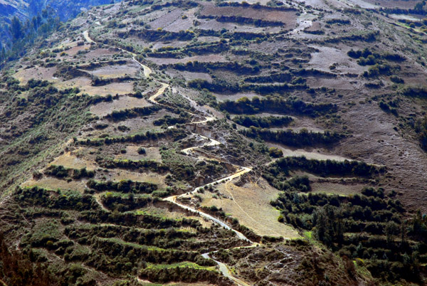 Switchback road through terraced fields, Valle del Mantaro