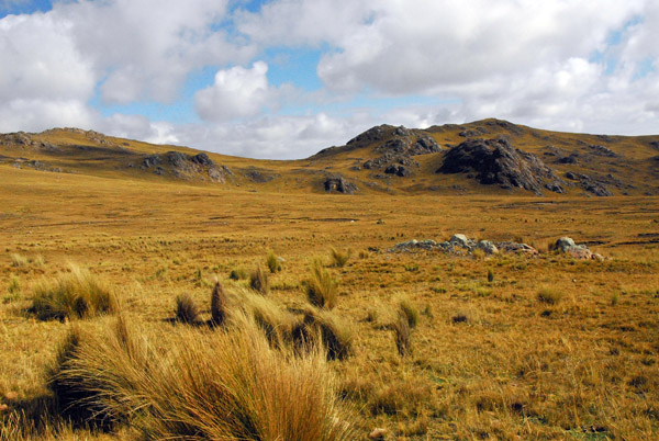 Andean highlands